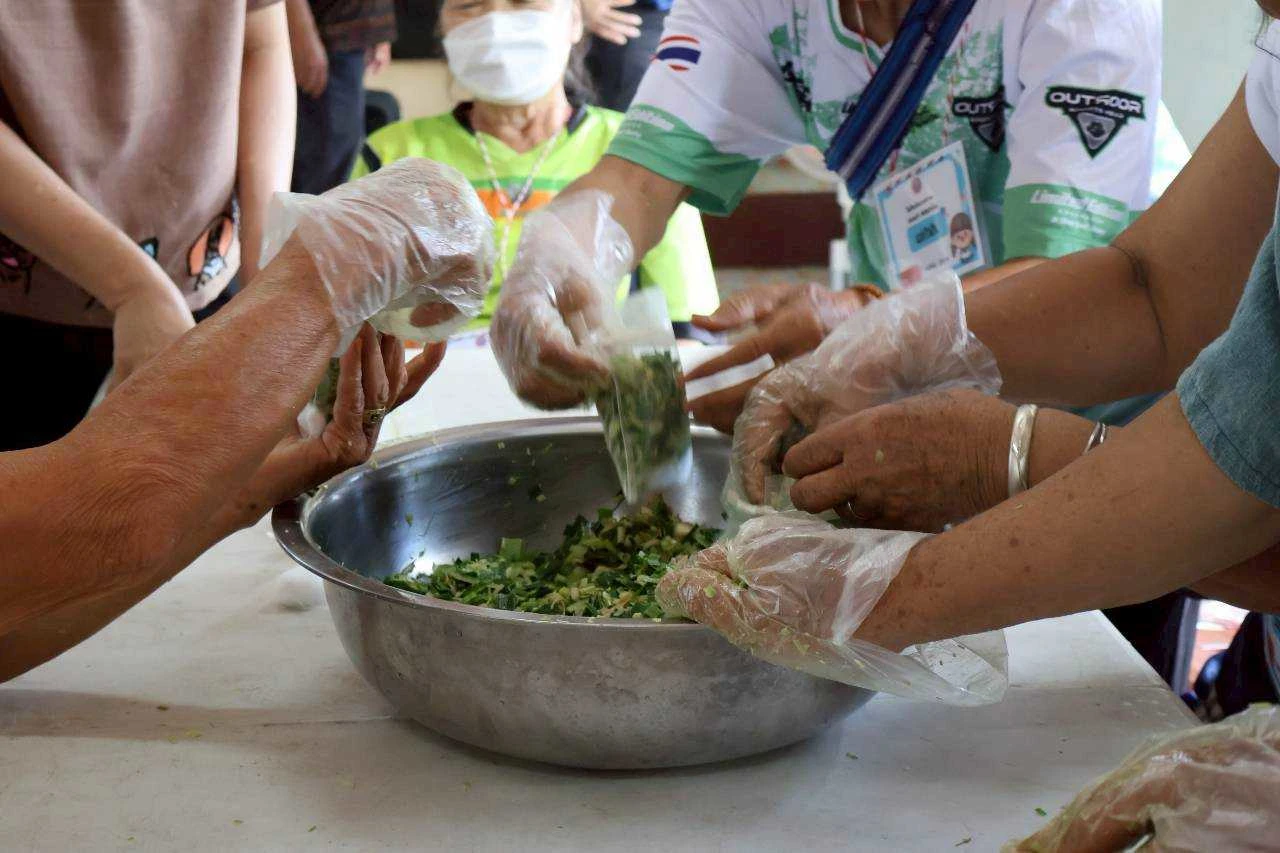 catalogs_file_659_43_51_549793.webp