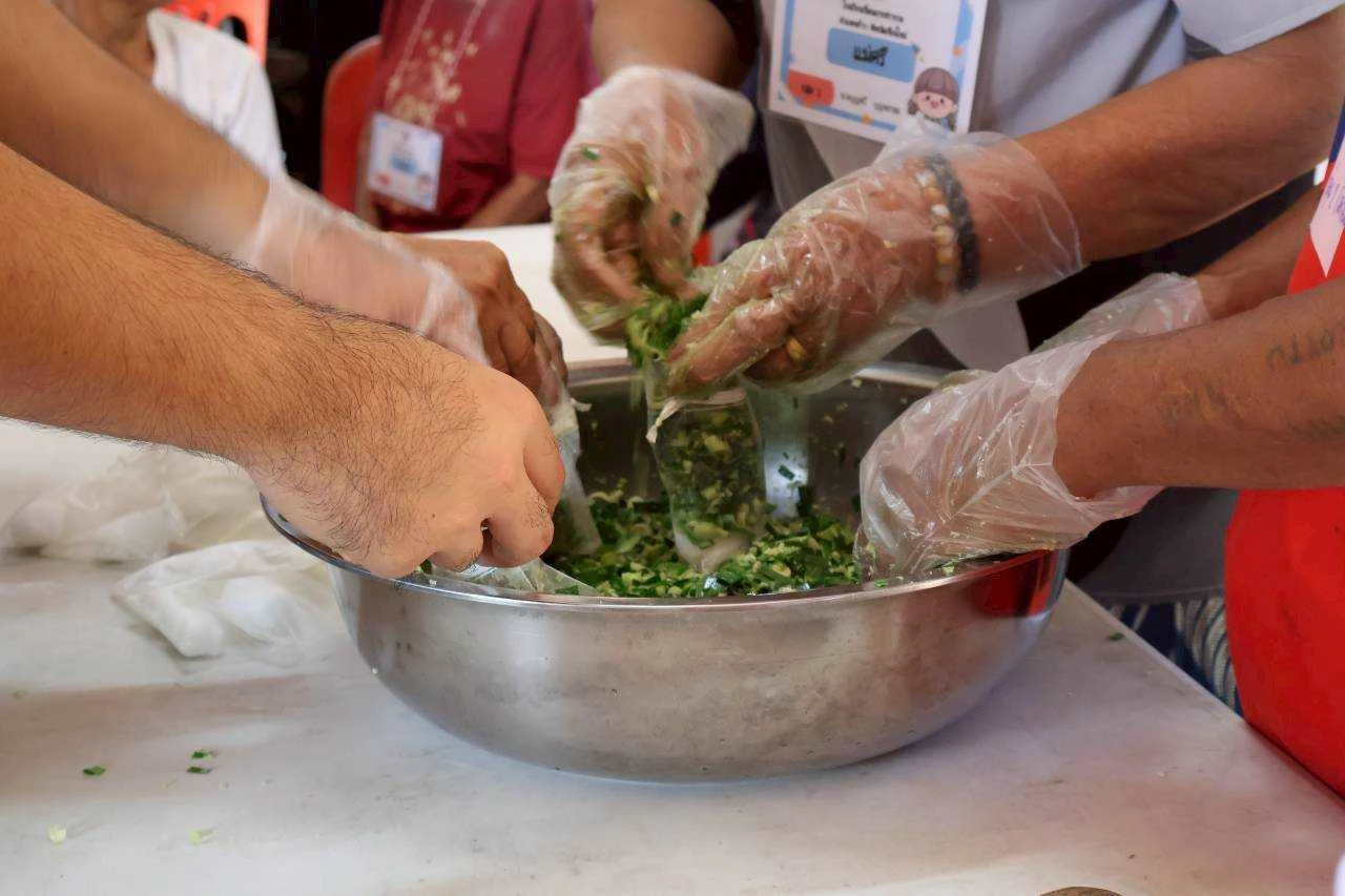 catalogs_file_659_43_51_549913.webp