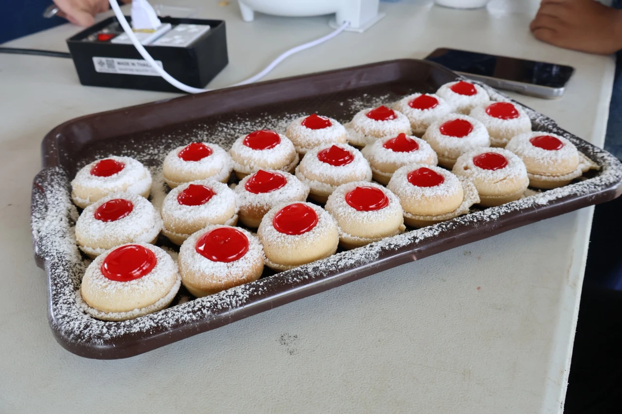 catalogs_file_702_42_7_293880.webp